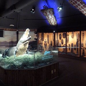 Gomek - 18 ft., 2,000 Pound Saltwater Crocodile