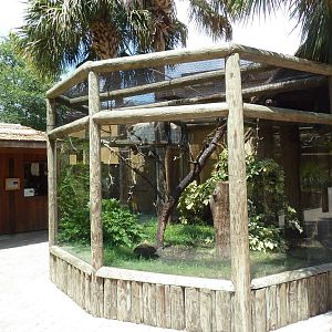 Prevost's Squirrel Exhibit