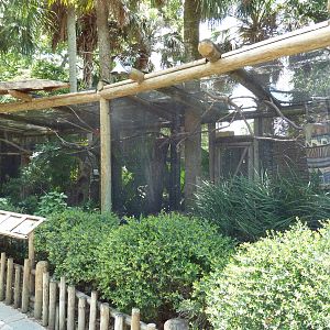 Bird Aviary (3 Species)