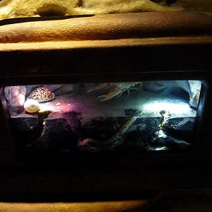 Nephrops enclosure - 12th July 2012.