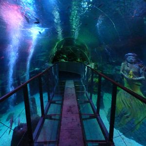 Ocean tunnel - 12th July 2012.