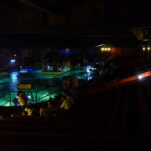 Main tank viewing area- 18th August 2012