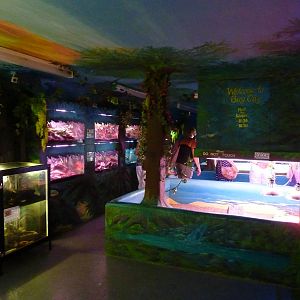 Bug City - 20th August 2012