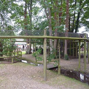 Pine marten loop - 20th August 2012