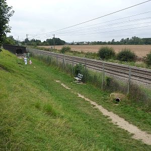 Rabbit walk-through enclosure - 20th August 2012