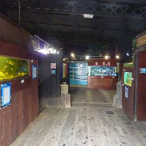 Main hall - 24th August 2012