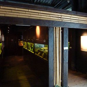 Freshwater tanks - 24th August 2012