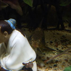 Good impression? - 24th August 2012