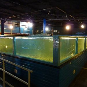 Main tank - 24th August 2012