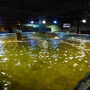 Main tank, view from above - 24th August 2012