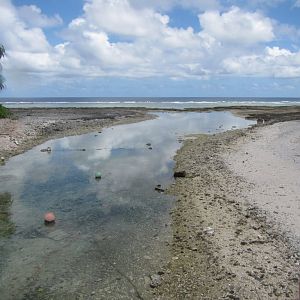 The Channel heading toward the reef-flat, taken from the bridge