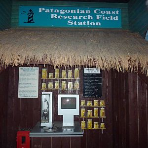 Microscope station - 24th August 2012.