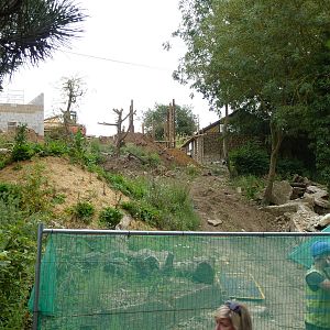 New sun bear enclosure in progress - 24th August 2012.