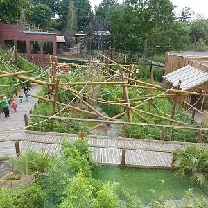 Lost Madagascar walkthrough from above - 24th August 2012.