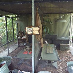 Expedition Africa - African Rock Python Exhibits