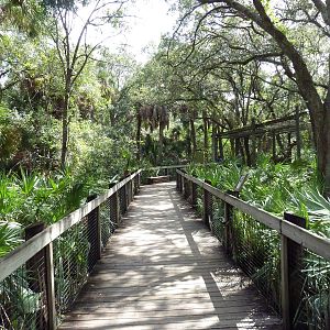 Wild Florida - Visitor Boardwalk