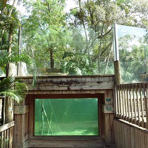 Wild Florida - River Otter Exhibit