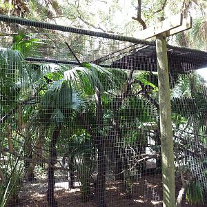 South America - Squirrel Monkey Exhibit