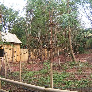 View of new Coati exhibit