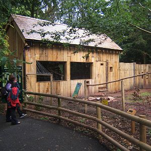 View of new Coati exhibit