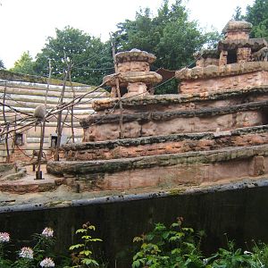 View of the Hamadryas Baboon rock
