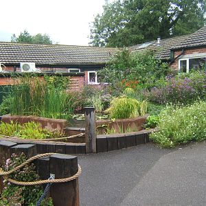 View of pond outside Amphibian Room