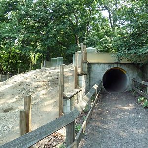 Black-Tailed Prairie Dog Exhibit