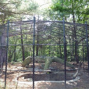 Empty Exhibit (Formerly an Andean bear exhibit)