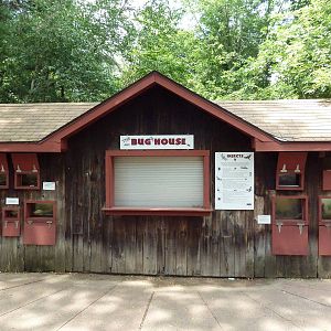 Bug House