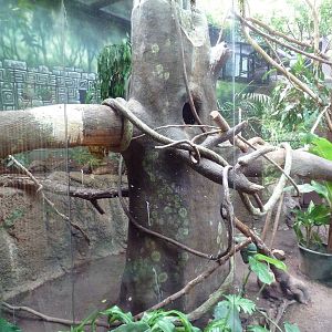 New World Tropics Building