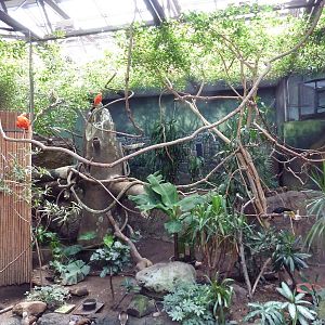 New World Tropics Building