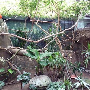 New World Tropics Building