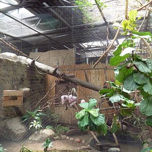 New World Tropics Building