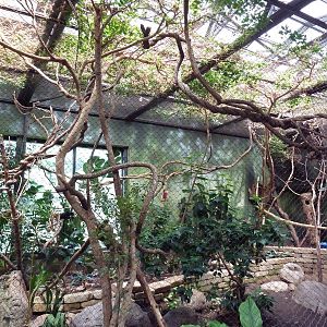 New World Tropics Building