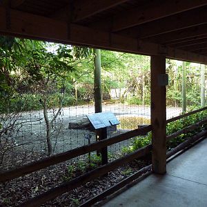 Florida Wetlands - Mixed-Species Exhibit (4 Species)