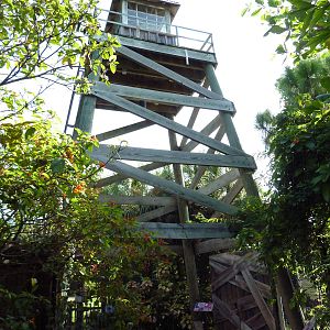 Florida Wetlands - Fire Tower
