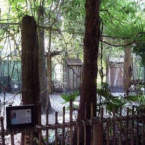 Florida Wetlands - Giant Anteater Exhibit