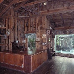 Florida Wetlands - Pioneer House + Giant Anteater Viewing