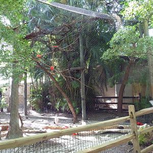 Florida Wetlands - Scarlet Ibis/Roseate Spoonbill Aviary