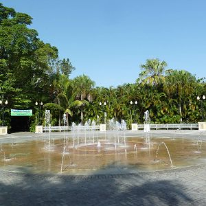 Central Plaza - Fountain Play Zone