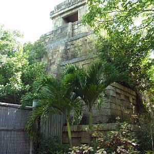 Tropics of the Americas