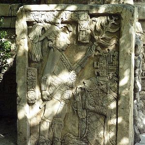 Tropics of the Americas