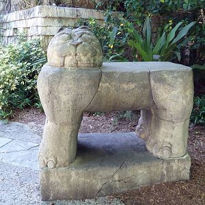 Tropics of the Americas