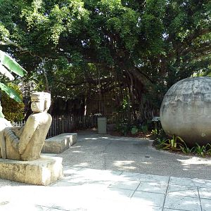 Tropics of the Americas