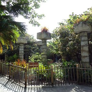 Tropics of the Americas - Jaguar Exhibit