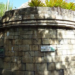 Tropics of the Americas - Mini-Reptile House