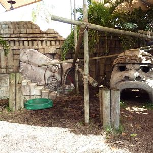 Tropics of the Americas - Presentation Yard