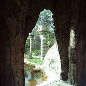 Tropics of the Americas - Jaguar Exhibit Viewing Window