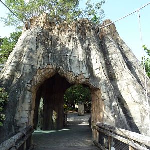 Tropics of the Americas - Bridge Entrance