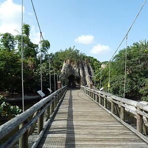 Tropics of the Americas - Exhibit Overlook (6 Species)